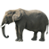 elefante